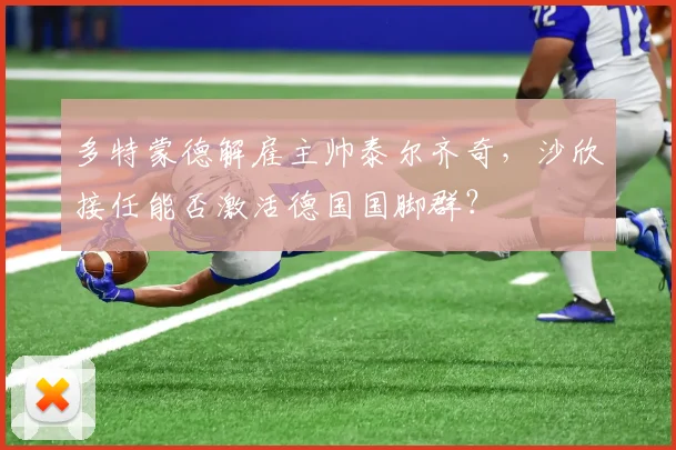 多特蒙德解雇主帅泰尔齐奇，沙欣接任能否激活德国国脚群？